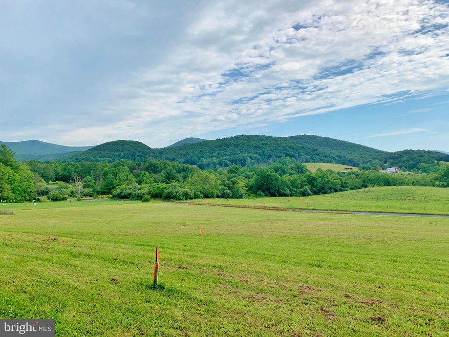 0 Dellinger Gap Rd unit VASH119516, Edinburg, VA 22824 - photo 1