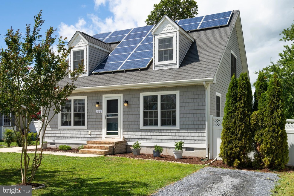 301 Holland St, Milton, DE 19968 - photo 1