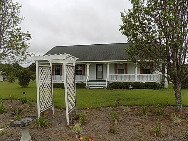 Main View