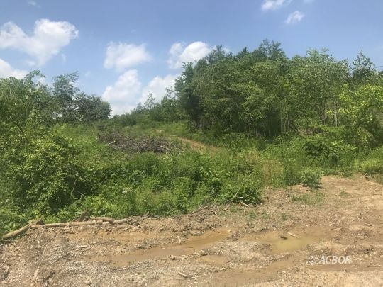 12843 Dawley Rd, Logan, OH 43138 - photo 1