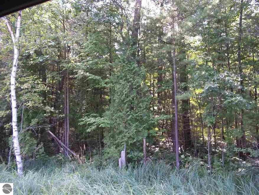 00 N Baldwin Resort Rd unit 1, East Tawas, MI 48730 - photo 1