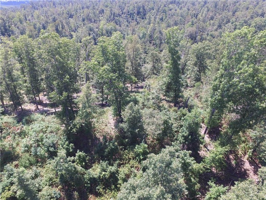 0 On Old Hwy 68 unit 1057004, Siloam Springs, AR 72761 - photo 1