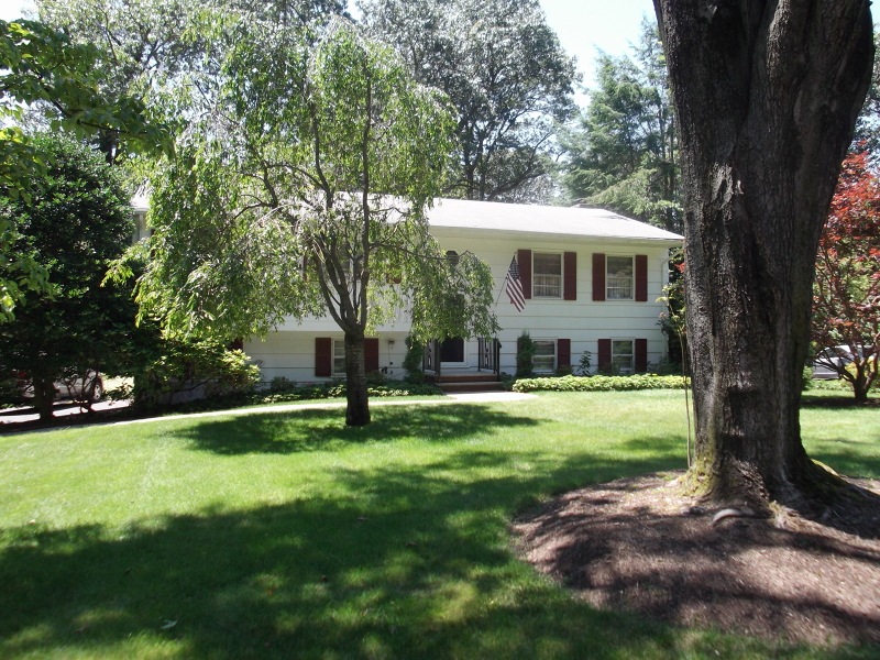 1 Deer Path, Green Brook, NJ 08812 - photo 1