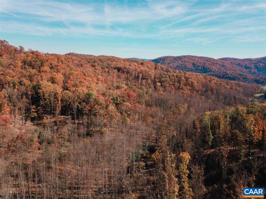 0 Poorhouse Rd unit 597813, Charlottesville, VA 22903 - photo 1