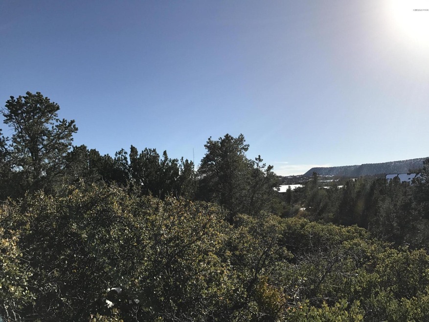 Southern View