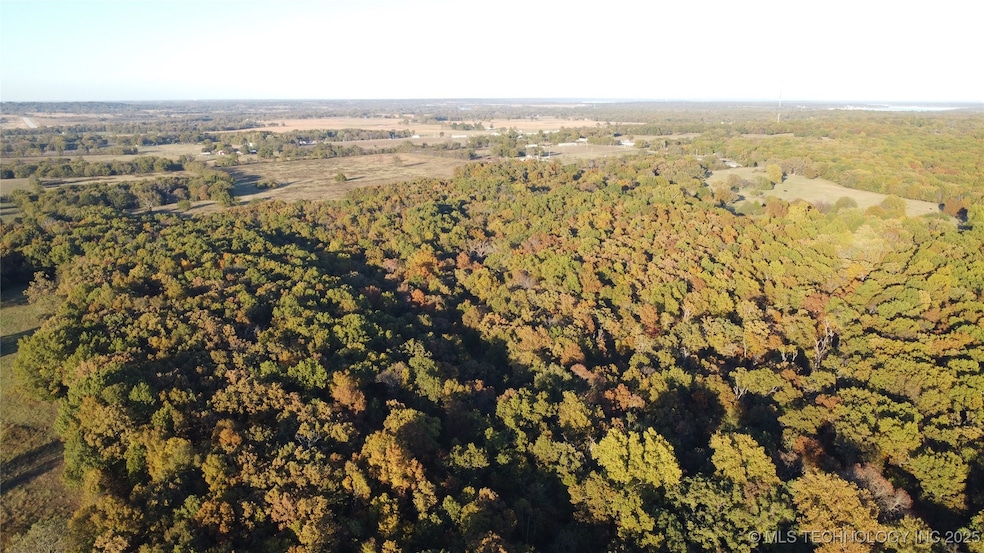 0000 Cohea Ln, Afton, OK 74331 - photo 1