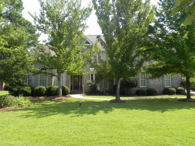 Main View