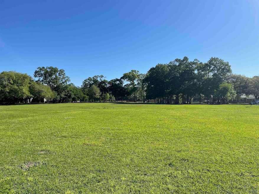 106 Main St, Franklin, LA 70538 - photo 1