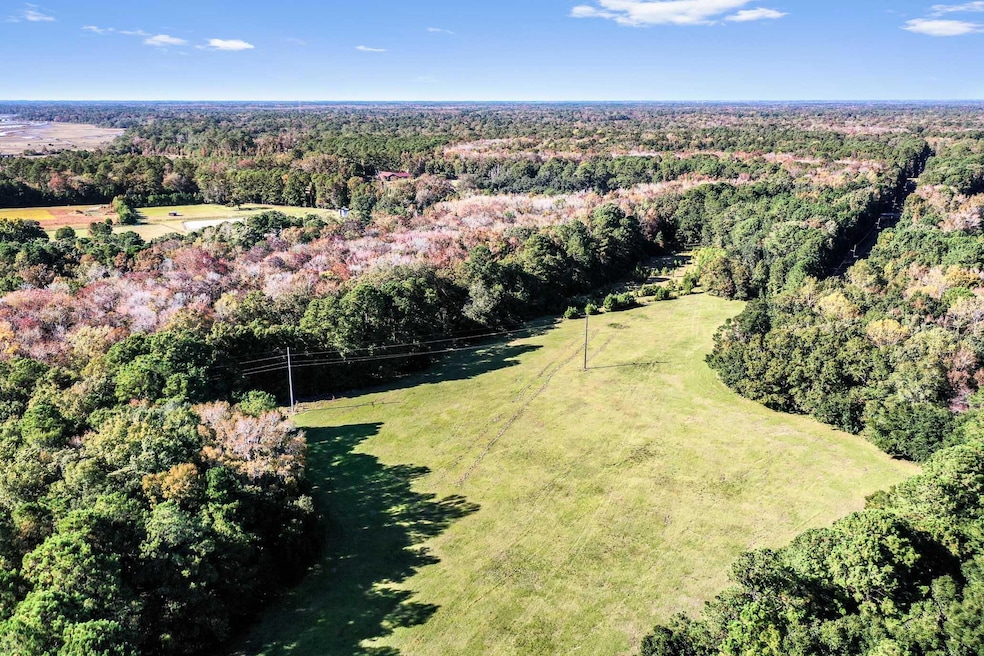 HFL_PLOW GROUND RD_30 ACRES-19