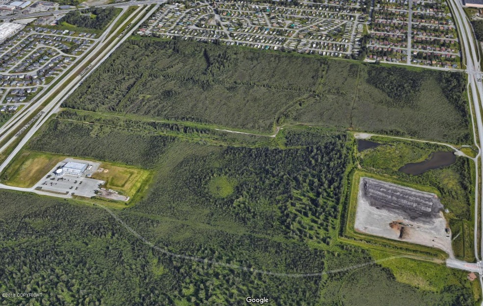 Google Satellite View