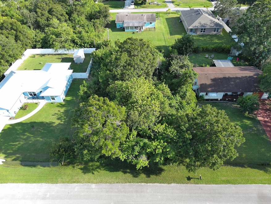 462 Joy Haven Dr, Sebastian, FL 32958 - photo 1