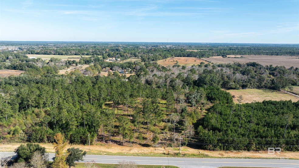0 Highway 181 unit 388641, Fairhope, AL 36532 - photo 1