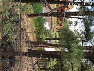 2422 Rainbow Lake Drive