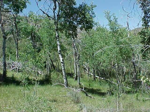 Land/Lot.