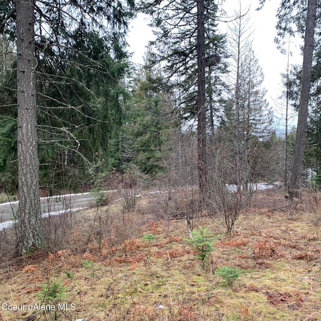 NNA F12 S Idaho Club Dr, Sandpoint, ID 83864 - photo 1