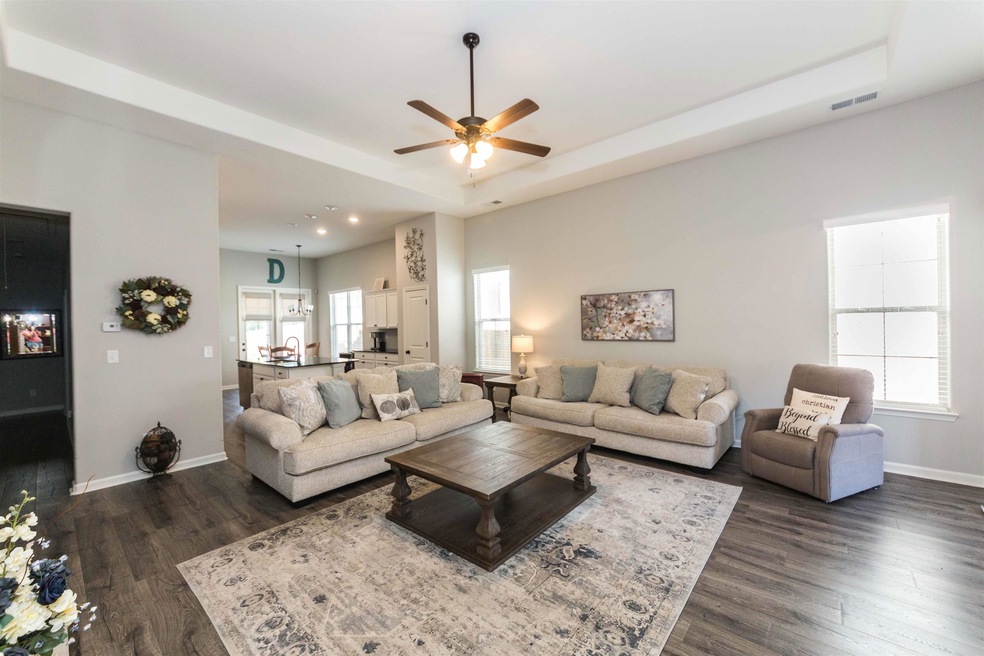 Living room with a raised ceiling, plenty of natur