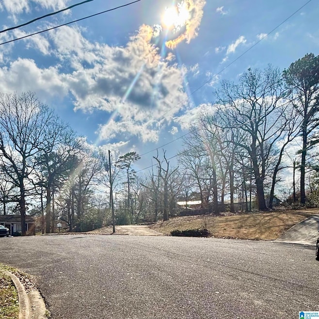 1017 Grand Oaks Cir unit 14, Fairfield, AL 35064 - photo 1