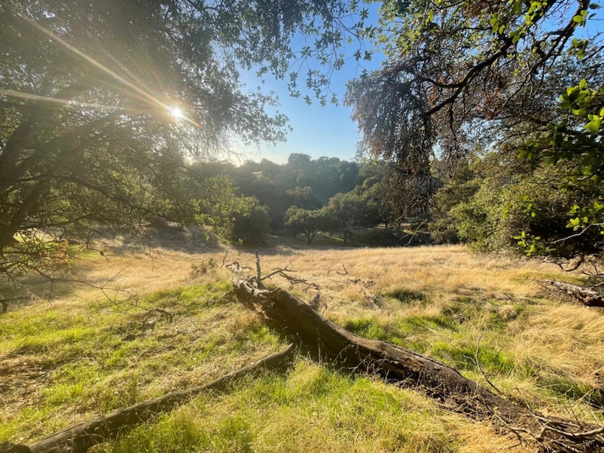 0 White Oak Rd, Plymouth, CA 95669 - photo 1