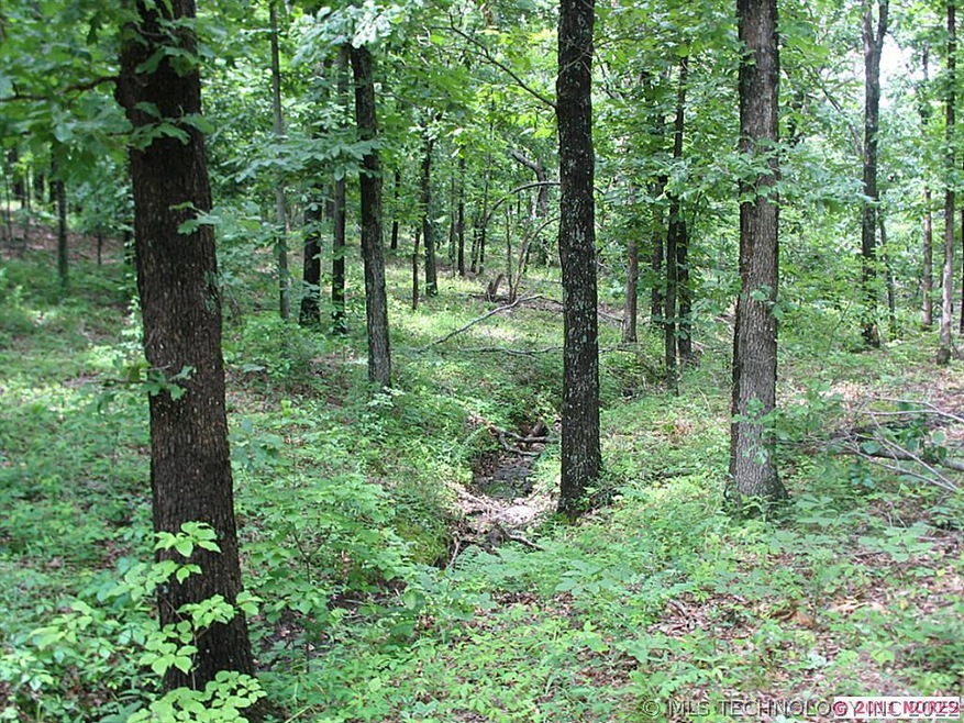 20650 Neel, Claremore, OK 74017 - photo 1