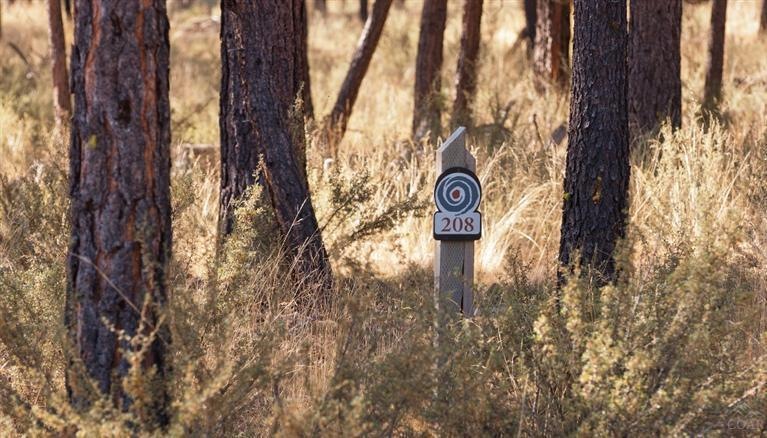 208 Fireglass Loop, Bend, OR 97707 - photo 1