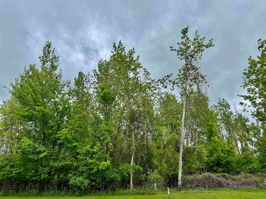 VL W Ashdale St, Au Gres, MI 48703 - photo 1