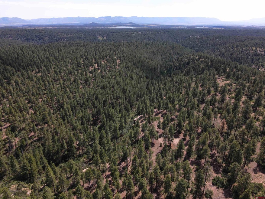 37494 Rd T 7, Mancos, CO 81328 - photo 1