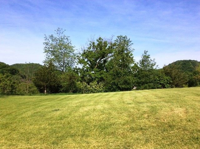 0 Hickory Ln unit 20162939, Lansing, IA 52151 - photo 1