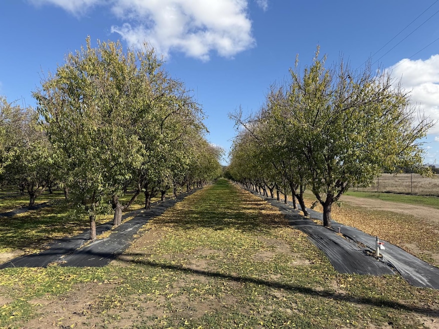 13571 Wimer, Farmington, CA 95326 - photo 1