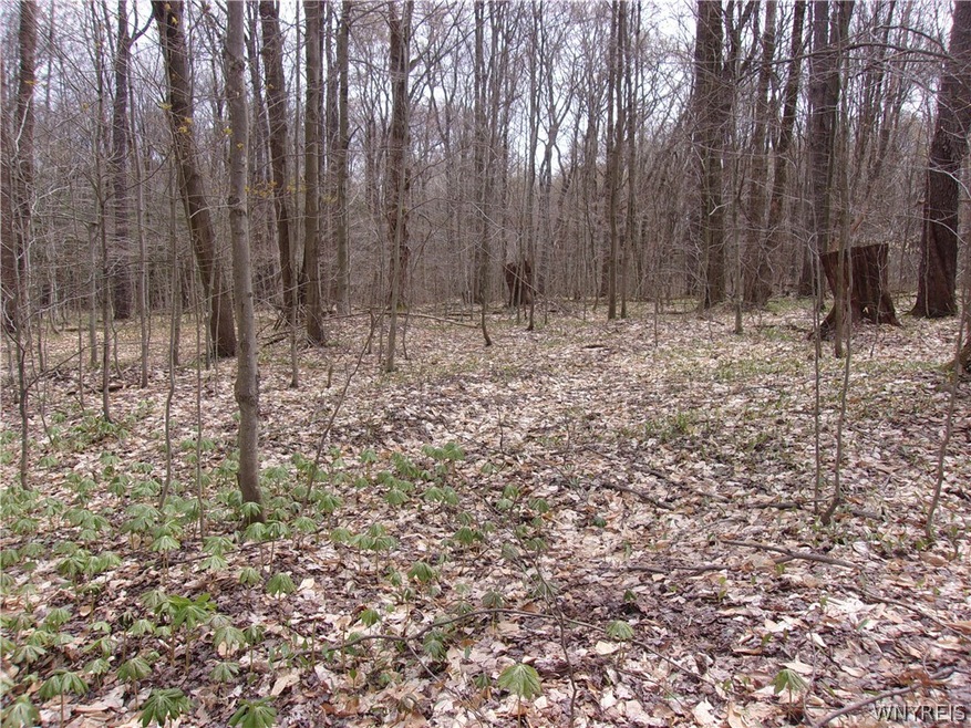 0 Scotch Blooming Hill Rd unit B1332977, Freedom, NY 14065 - photo 1