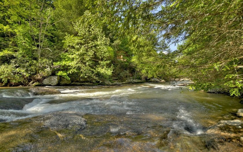 Main View