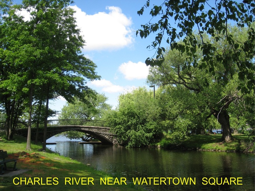 194 Lexington St unit 7, Watertown, MA 02472 - photo 1