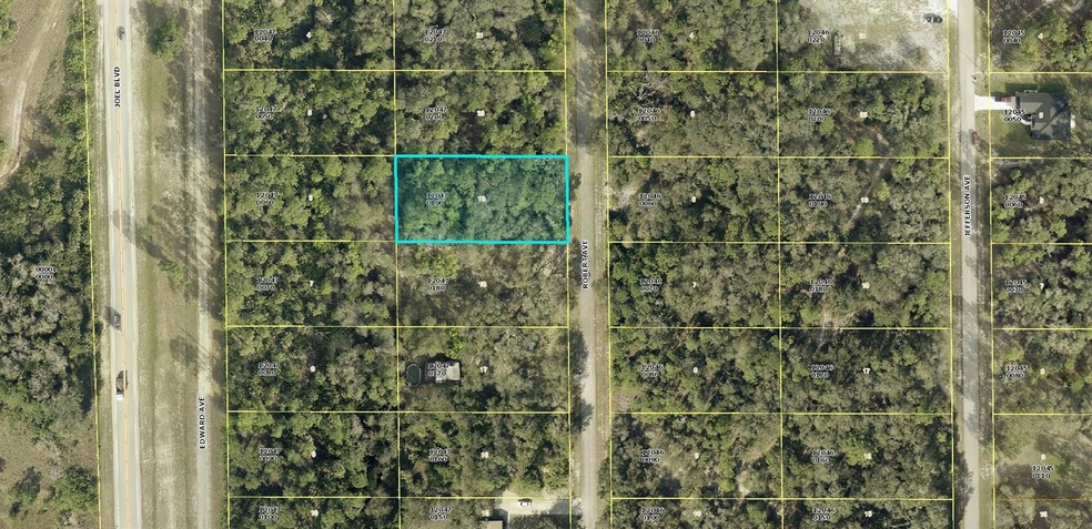1913 Robert Ave, Lehigh Acres, FL 33972 - photo 1