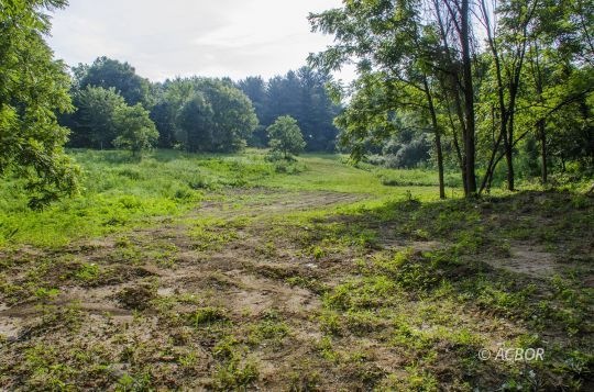 3390 Marshfield Rd. 2.5 acres