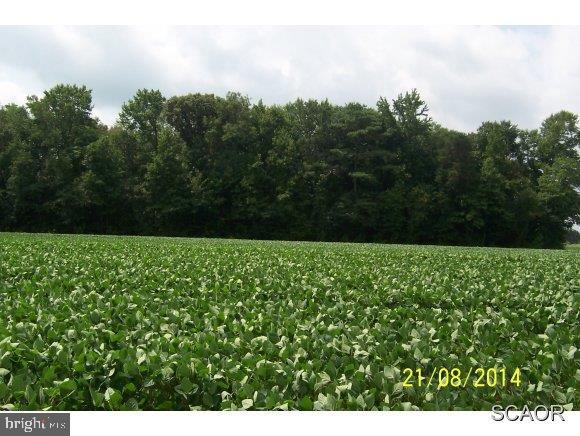 0 Breasure Rd unit 1001001436, Georgetown, DE 19947 - photo 1