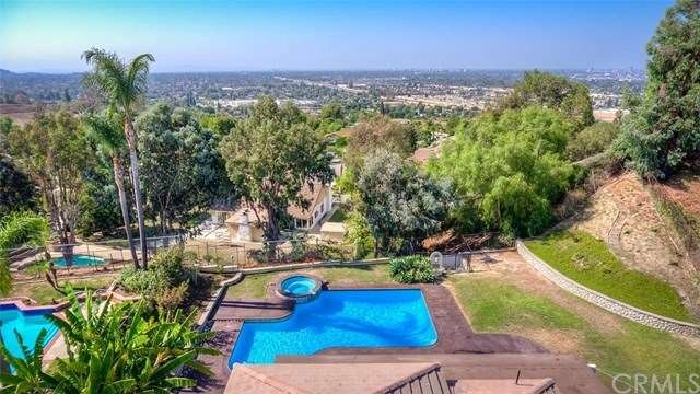 Gorgeous view from the backyard and master bedroom