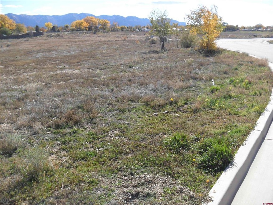 TBD Tucker Ln, Cortez, CO 81321 - photo 1