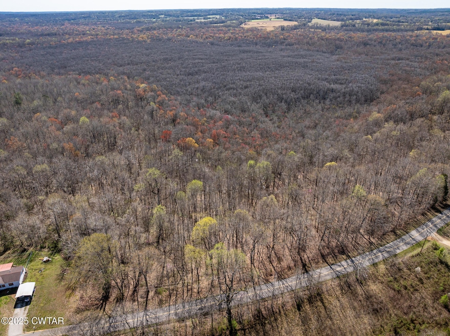 4489 Spring Creek Rd, Lavinia, TN 38348 - photo 1