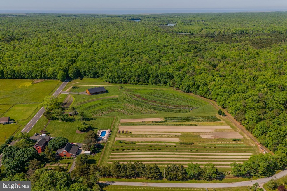 550 Hands Mill Rd, Woodbine, NJ 08270 - photo 1