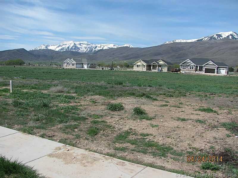 Land/Lot.