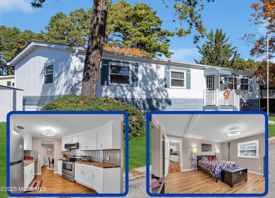 Flex Dimensions (28)