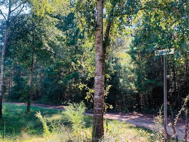 0 Sycamore Ln unit 21013469, Plantersville, TX 77363 - photo 1