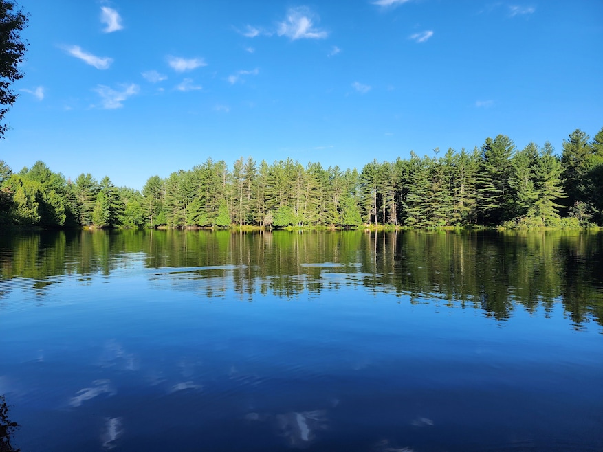 13331 Henry Rd, Diana Center, NY 13648 - photo 1