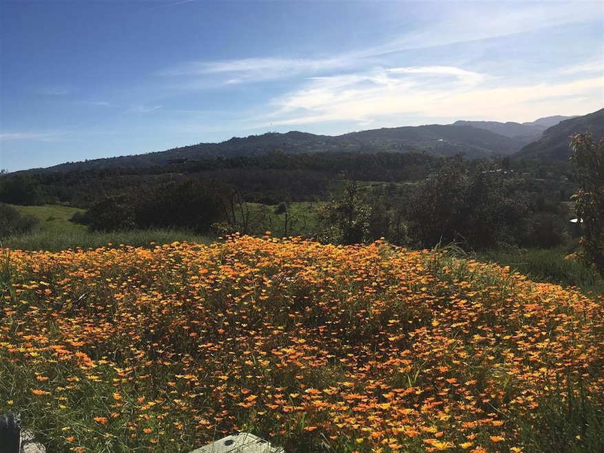 0 Paymaster Rd, Valley Center, CA 92082 - photo 1