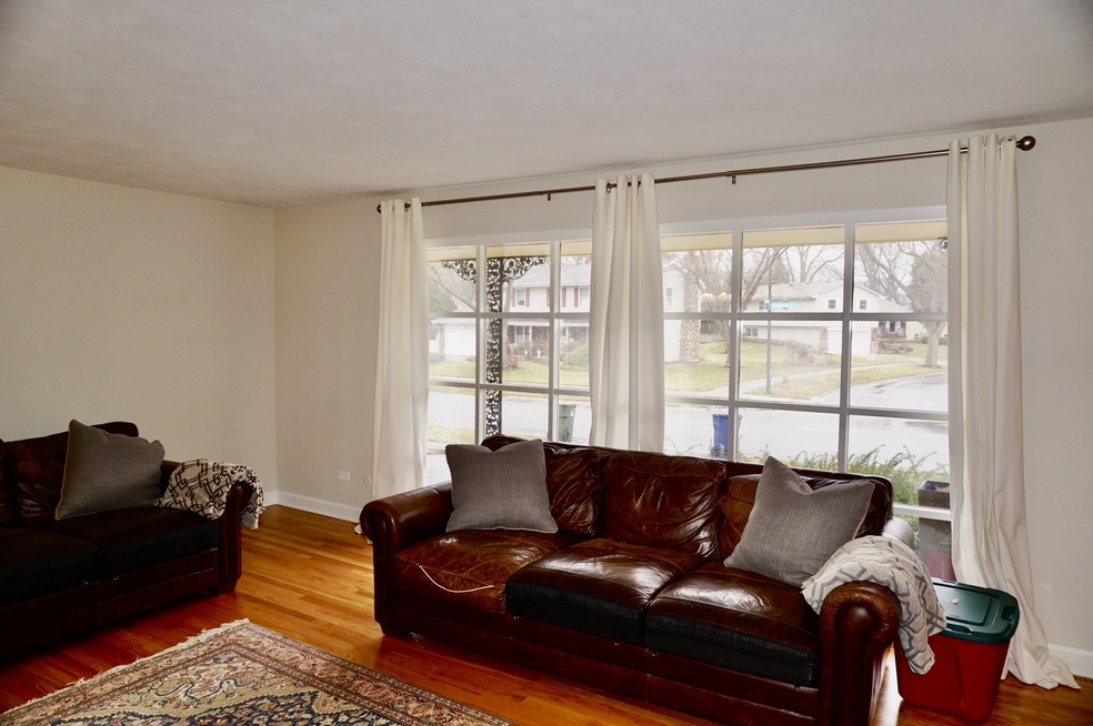 1120 Elizabeth Ave, Naperville, IL 60540 - photo 1