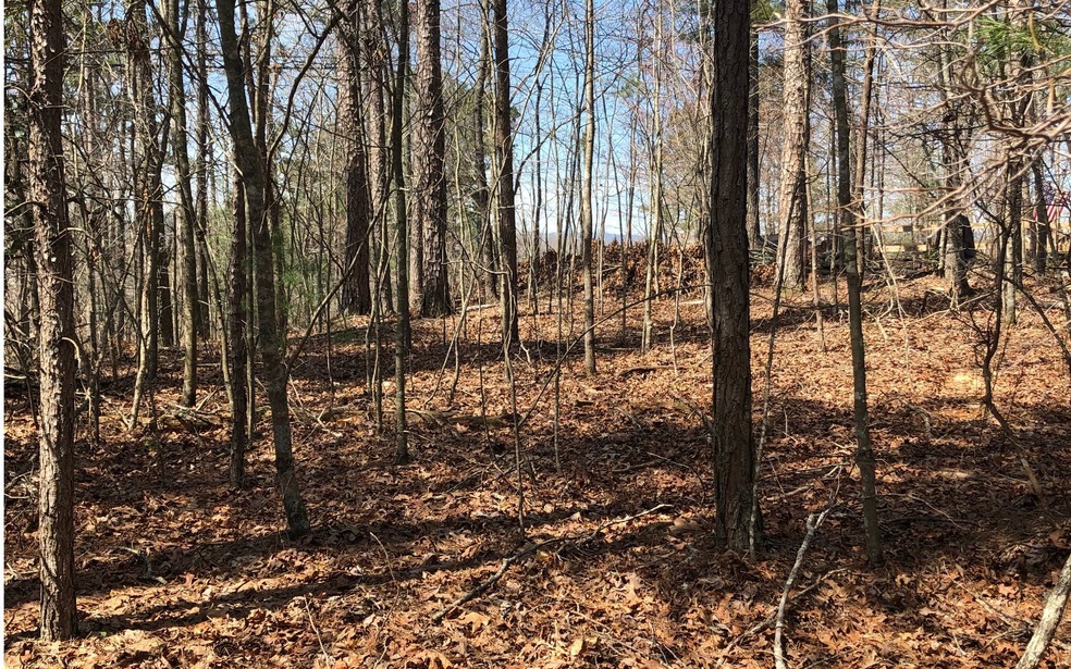 00 Matrix Ln, Ellijay, GA 30540 - photo 1