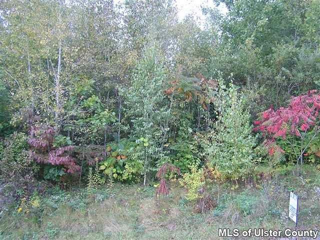 17 Diana Ridge, Highland, NY 12528 - photo 1