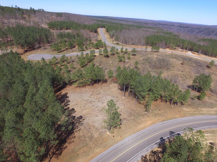 2275 River Bluffs Dr, Jasper, TN 37347 - photo 1