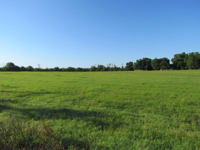 0000 Spring Flats Rd, Sylvester, GA 31791 - photo 1