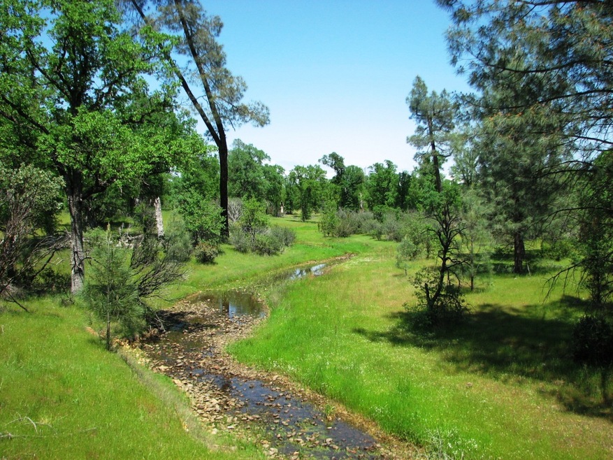 Seasonal Creek