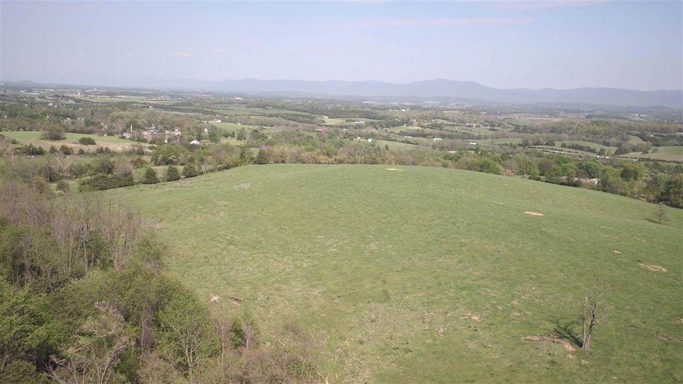 23 acres Captain Hizer Ln, Fort Defiance, VA 24437 - photo 1